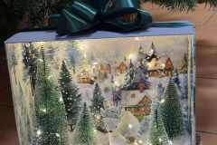 595001157_1561690074865411_459620118946467911_n