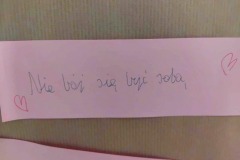 d07c0dde-081b-46ab-99c7-d64e75aa639d