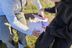 2560a1b4-6876-4d7d-b7cf-315cab91aedc-Copy