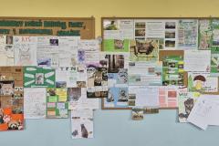 20467-Copy