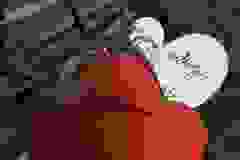 679770784_1706216990561464_9186859866913620224_n