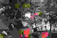 686063133_1629934028232456_5040898887003308469_n
