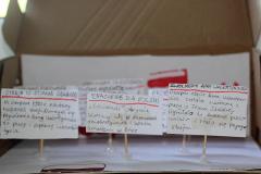 IMG_8006-Copy