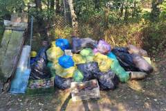 1000023288_Easy-Resize.com_