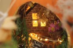 IMG_8377-Copy